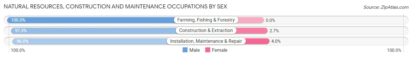 Natural Resources, Construction and Maintenance Occupations by Sex in Zip Code 38571