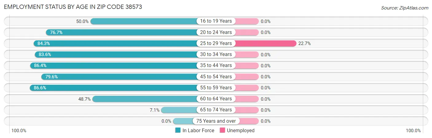 Employment Status by Age in Zip Code 38573