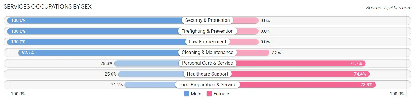 Services Occupations by Sex in Zip Code 38574