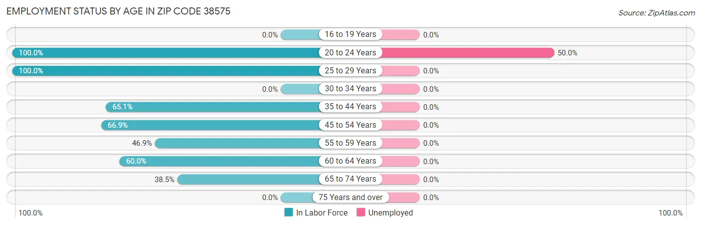 Employment Status by Age in Zip Code 38575