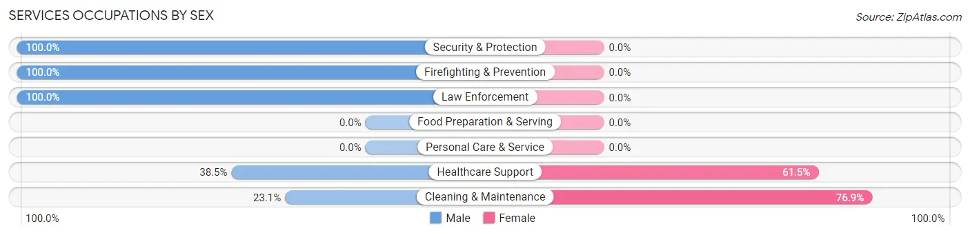 Services Occupations by Sex in Zip Code 38575