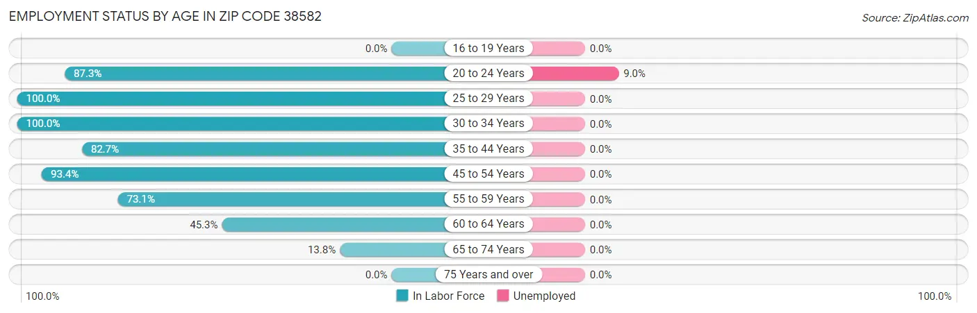 Employment Status by Age in Zip Code 38582