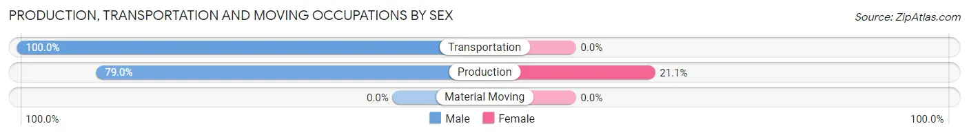Production, Transportation and Moving Occupations by Sex in Zip Code 38582