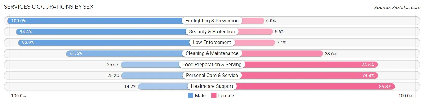 Services Occupations by Sex in Zip Code 38583