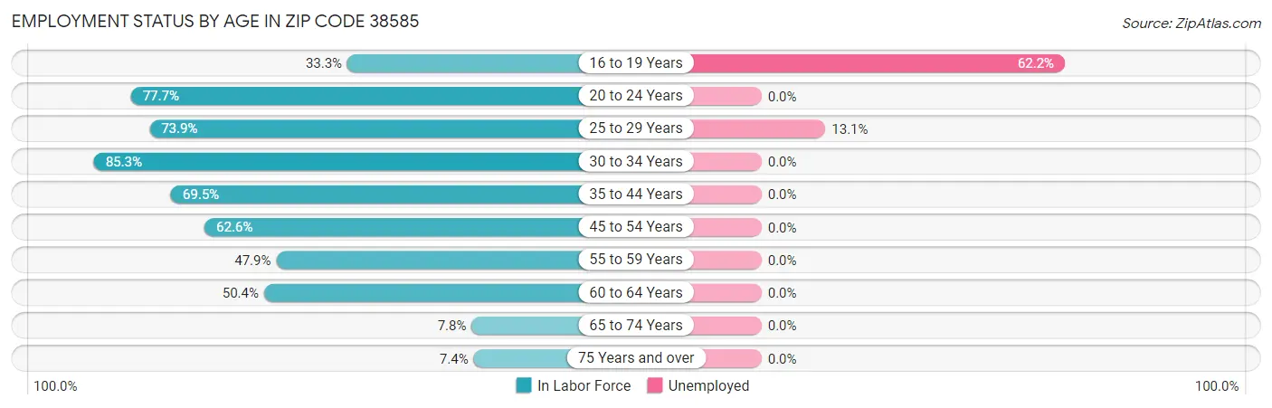 Employment Status by Age in Zip Code 38585