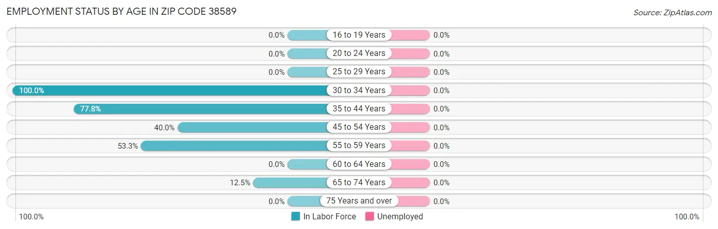Employment Status by Age in Zip Code 38589