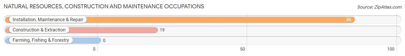 Natural Resources, Construction and Maintenance Occupations in Zip Code 38601