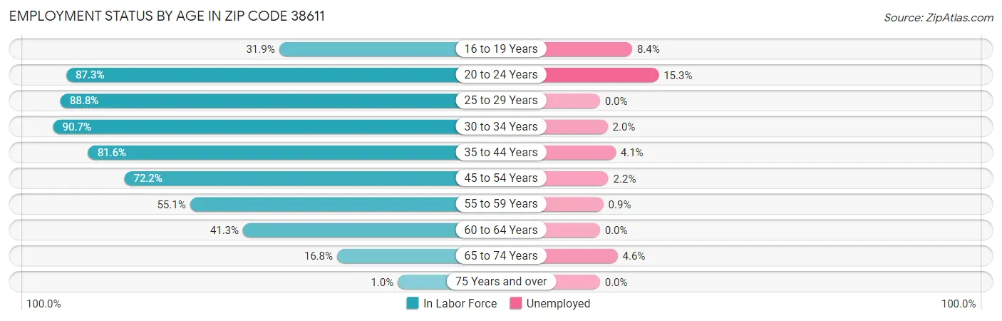 Employment Status by Age in Zip Code 38611