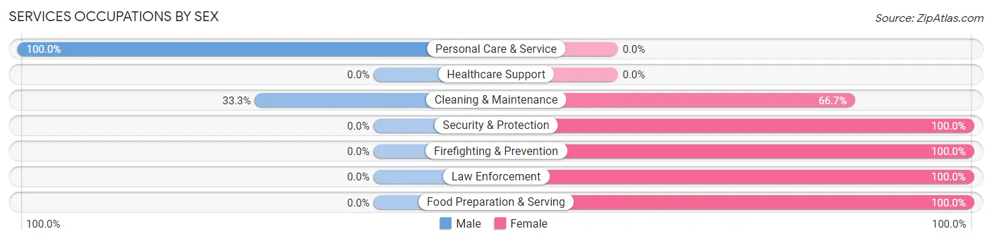 Services Occupations by Sex in Zip Code 38617