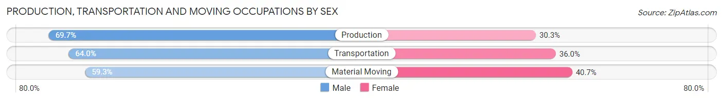 Production, Transportation and Moving Occupations by Sex in Zip Code 38619