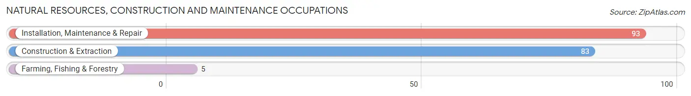 Natural Resources, Construction and Maintenance Occupations in Zip Code 38620