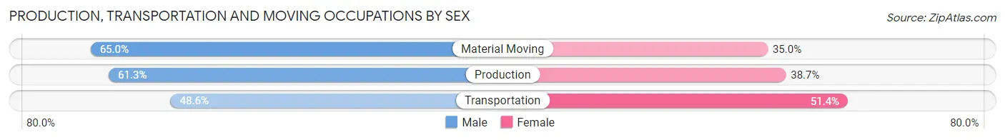 Production, Transportation and Moving Occupations by Sex in Zip Code 38629