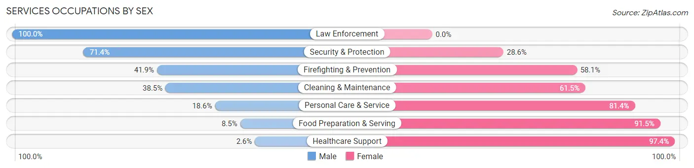 Services Occupations by Sex in Zip Code 38635