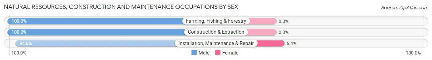Natural Resources, Construction and Maintenance Occupations by Sex in Zip Code 38637