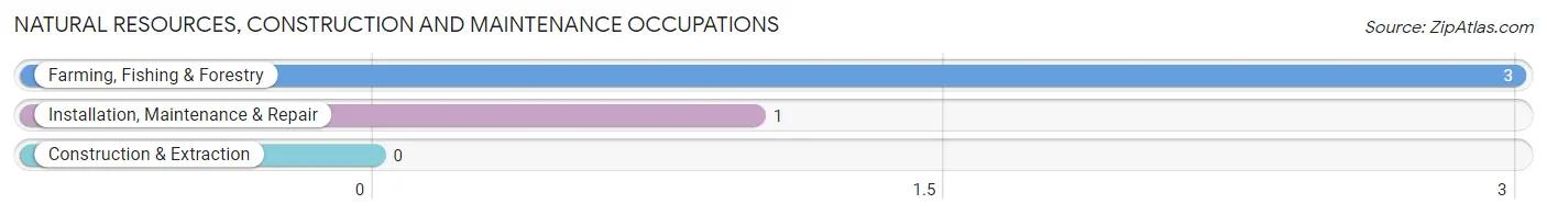 Natural Resources, Construction and Maintenance Occupations in Zip Code 38644