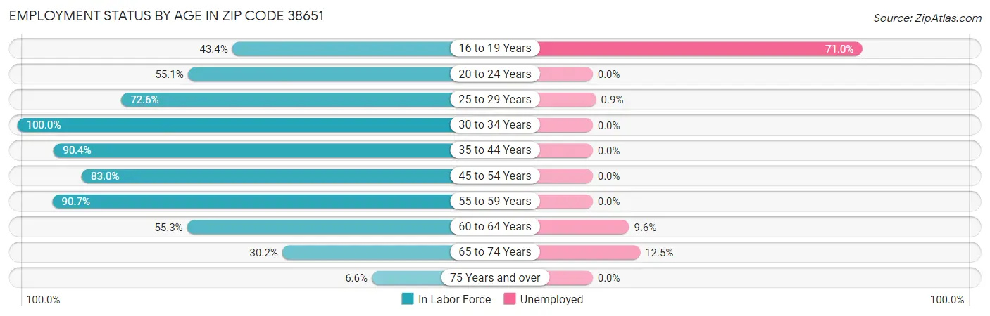 Employment Status by Age in Zip Code 38651