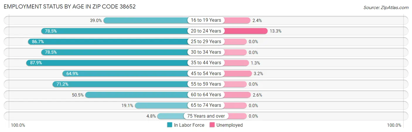 Employment Status by Age in Zip Code 38652