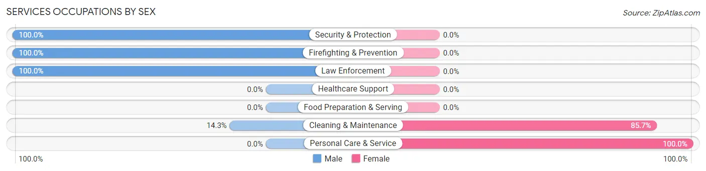 Services Occupations by Sex in Zip Code 38665