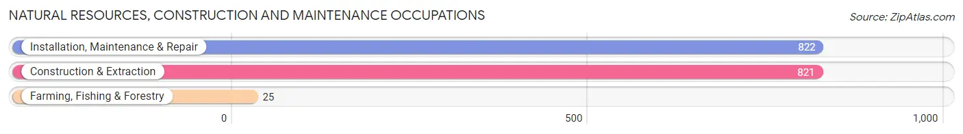 Natural Resources, Construction and Maintenance Occupations in Zip Code 38671