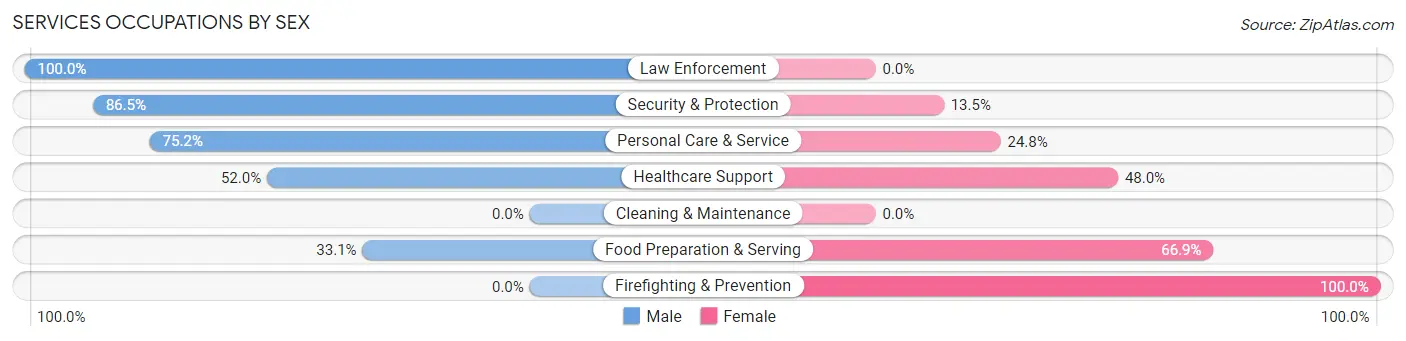Services Occupations by Sex in Zip Code 38672