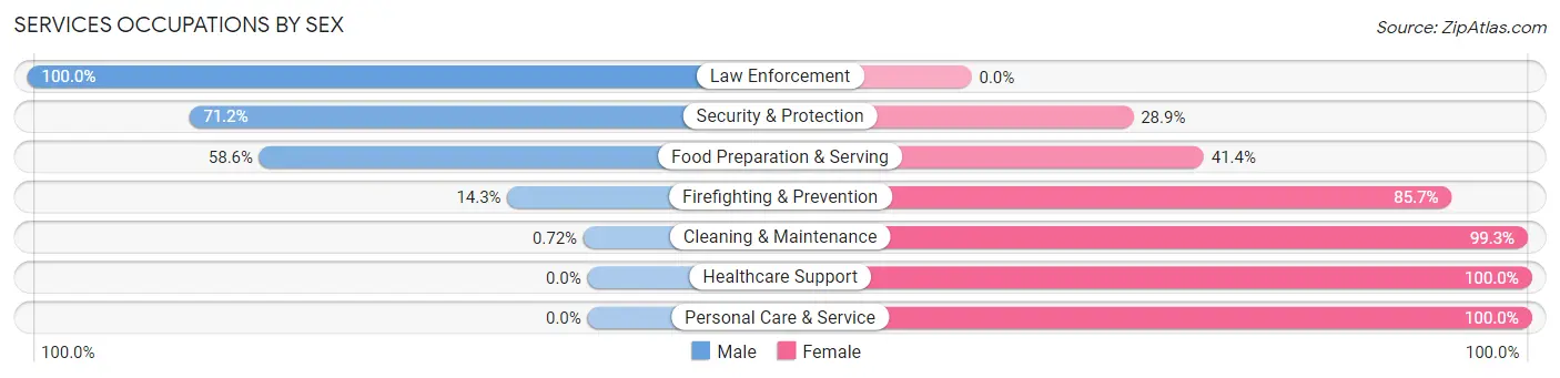 Services Occupations by Sex in Zip Code 38676