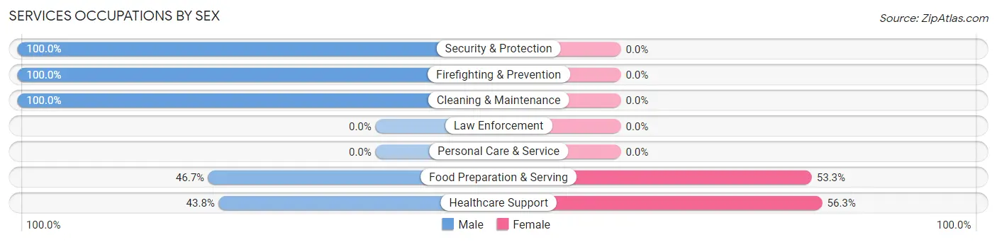 Services Occupations by Sex in Zip Code 38683