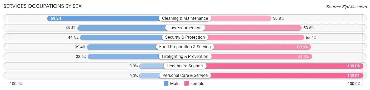 Services Occupations by Sex in Zip Code 38703