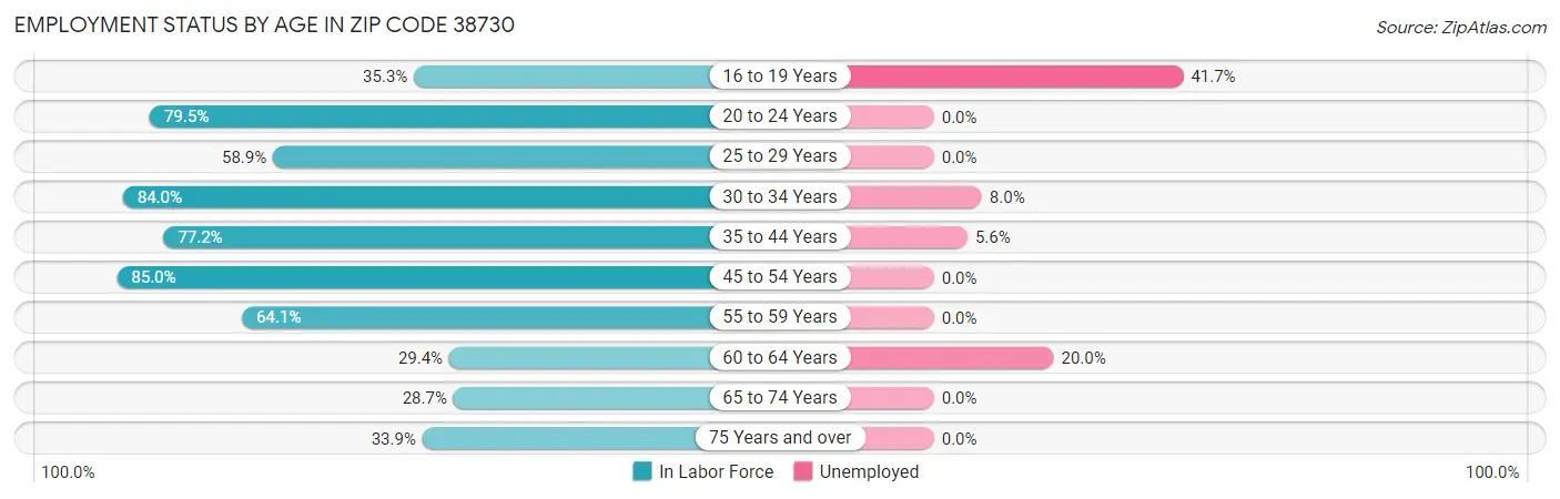 Employment Status by Age in Zip Code 38730
