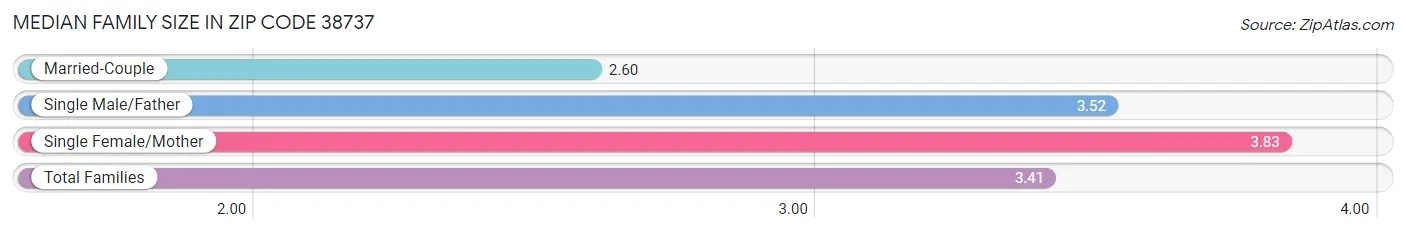 Median Family Size in Zip Code 38737