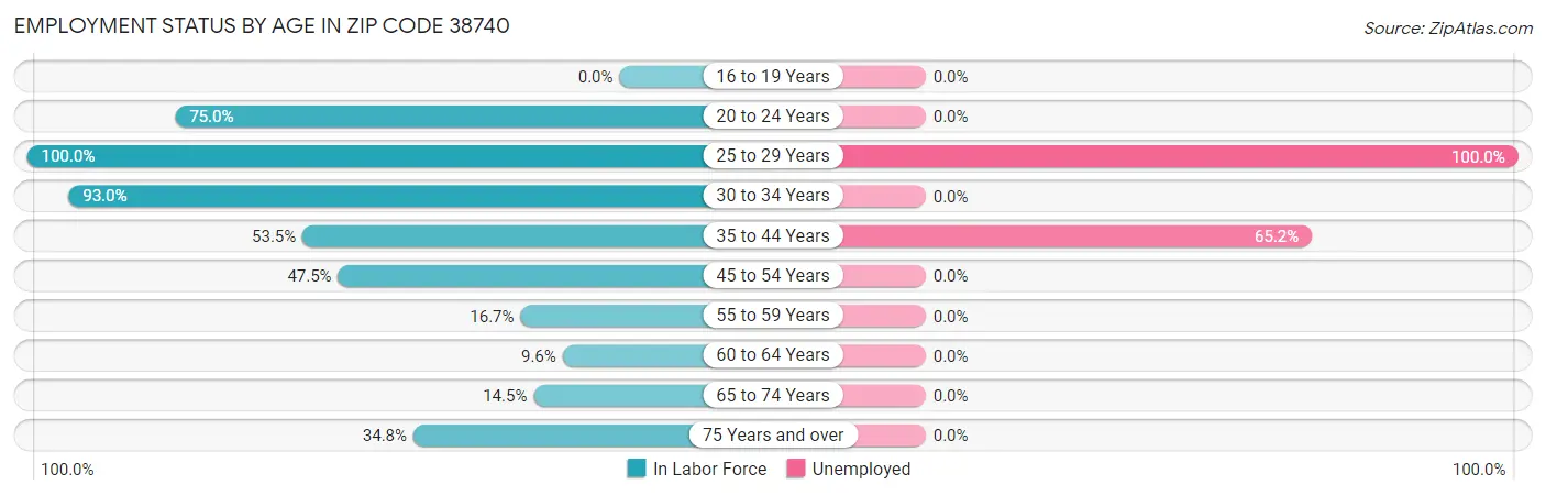 Employment Status by Age in Zip Code 38740