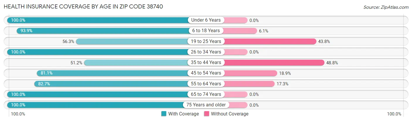 Health Insurance Coverage by Age in Zip Code 38740