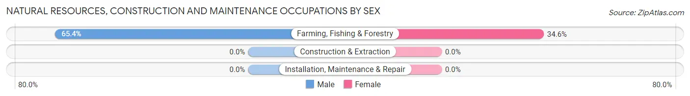 Natural Resources, Construction and Maintenance Occupations by Sex in Zip Code 38744