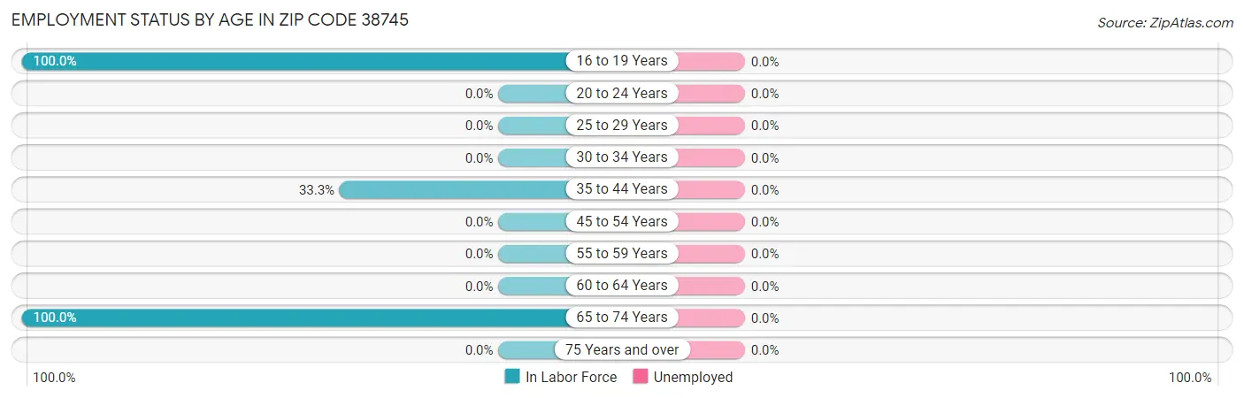 Employment Status by Age in Zip Code 38745