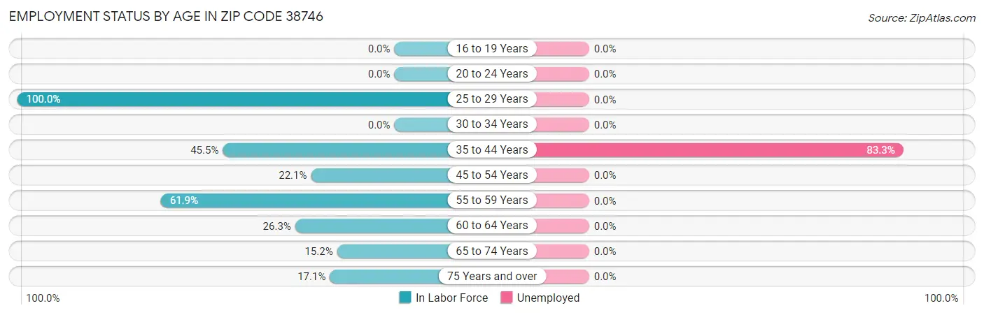 Employment Status by Age in Zip Code 38746
