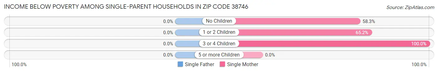 Income Below Poverty Among Single-Parent Households in Zip Code 38746