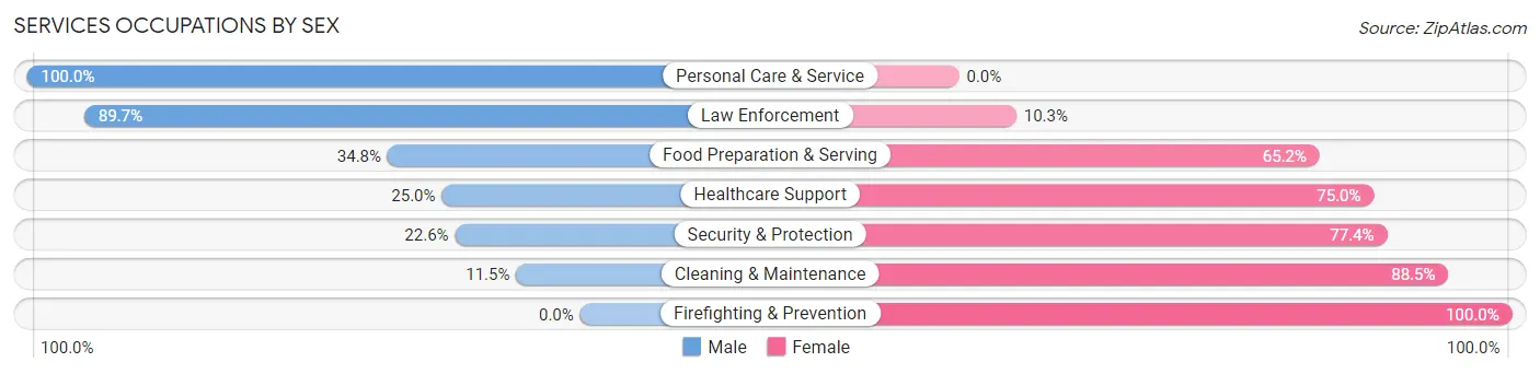 Services Occupations by Sex in Zip Code 38751