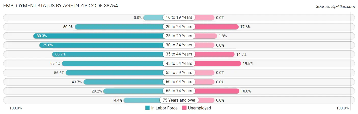 Employment Status by Age in Zip Code 38754