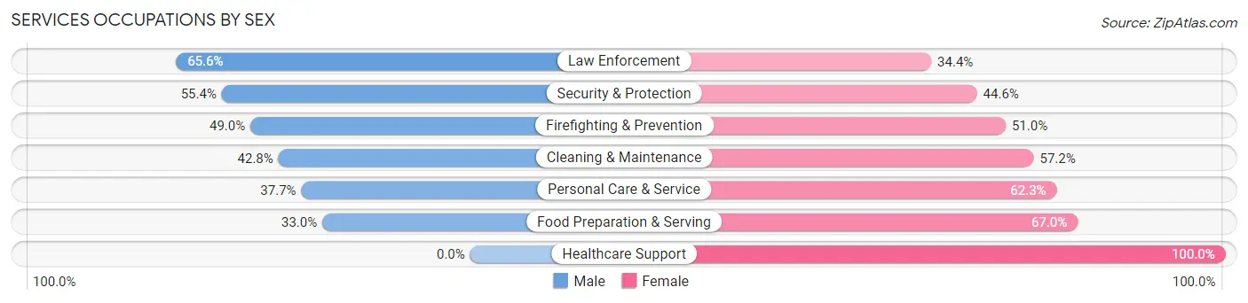 Services Occupations by Sex in Zip Code 38756
