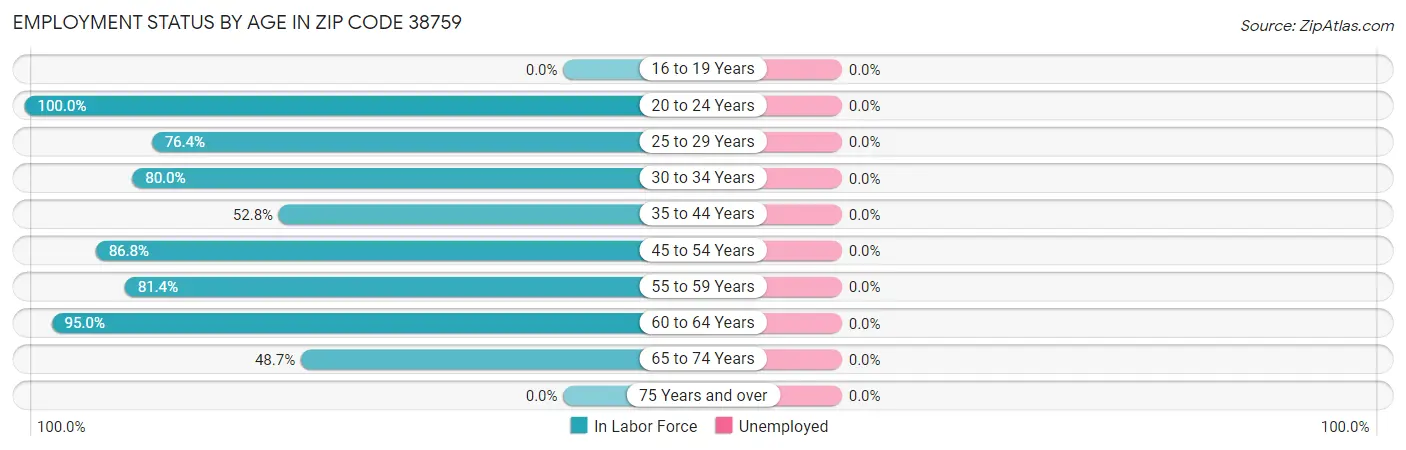 Employment Status by Age in Zip Code 38759