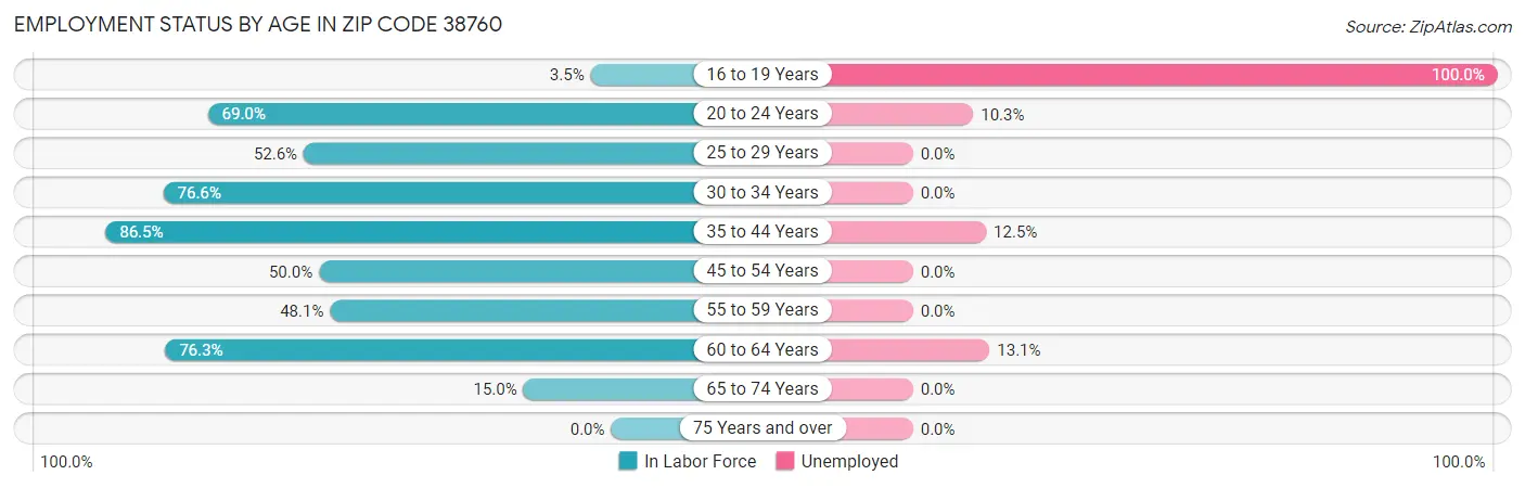Employment Status by Age in Zip Code 38760