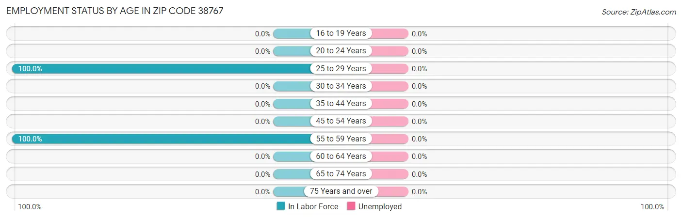 Employment Status by Age in Zip Code 38767