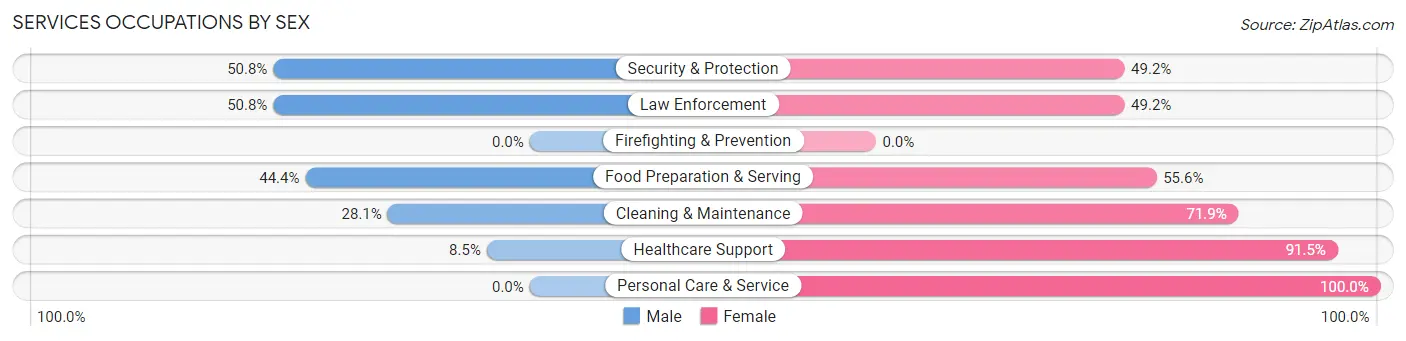 Services Occupations by Sex in Zip Code 38804