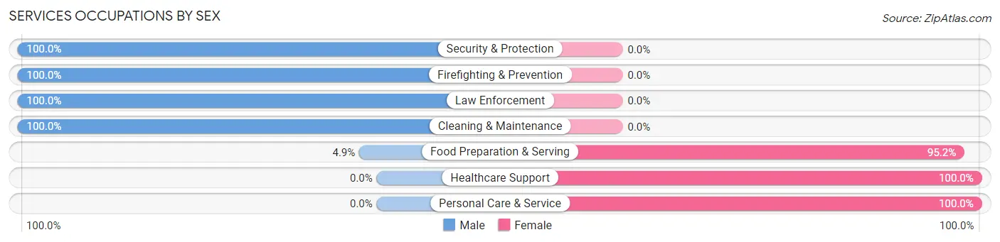 Services Occupations by Sex in Zip Code 38827