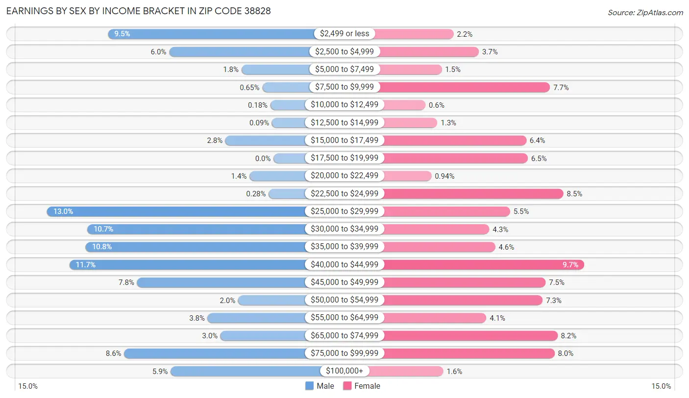 Earnings by Sex by Income Bracket in Zip Code 38828