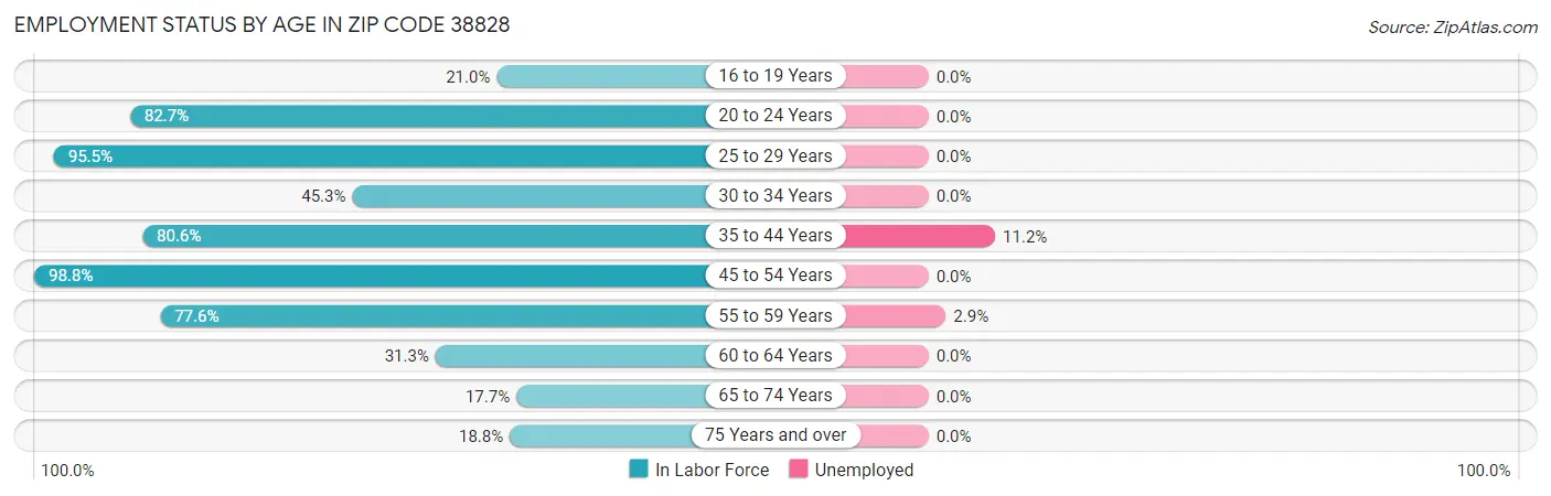 Employment Status by Age in Zip Code 38828