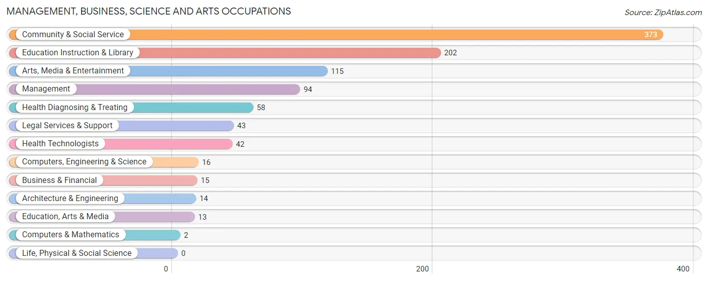 Management, Business, Science and Arts Occupations in Zip Code 38828