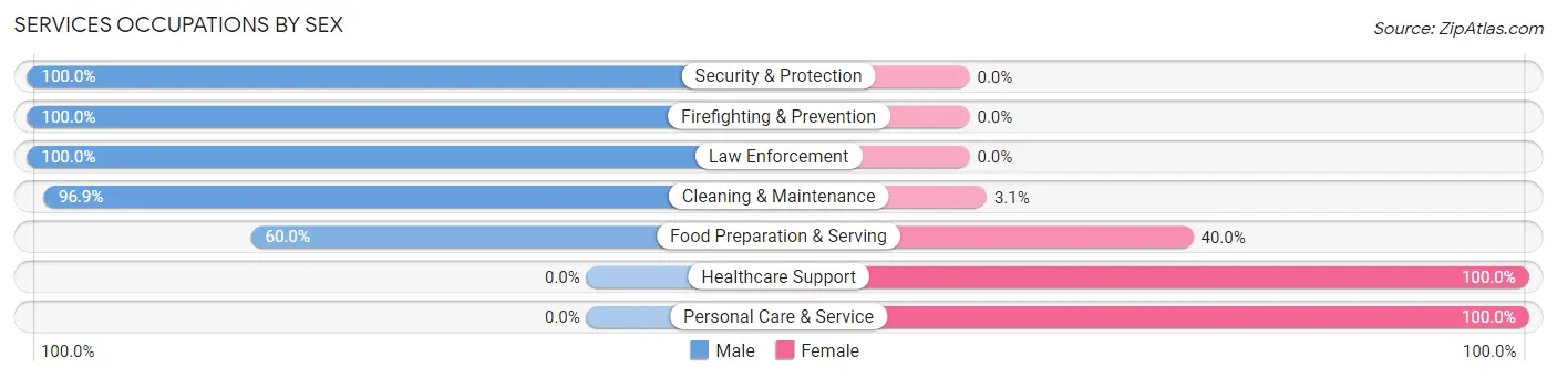 Services Occupations by Sex in Zip Code 38828