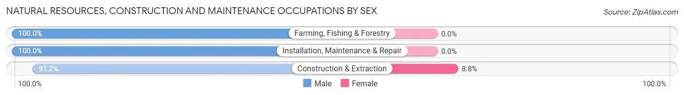 Natural Resources, Construction and Maintenance Occupations by Sex in Zip Code 38834