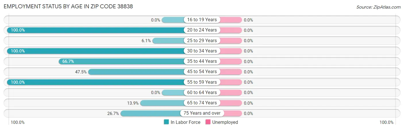 Employment Status by Age in Zip Code 38838