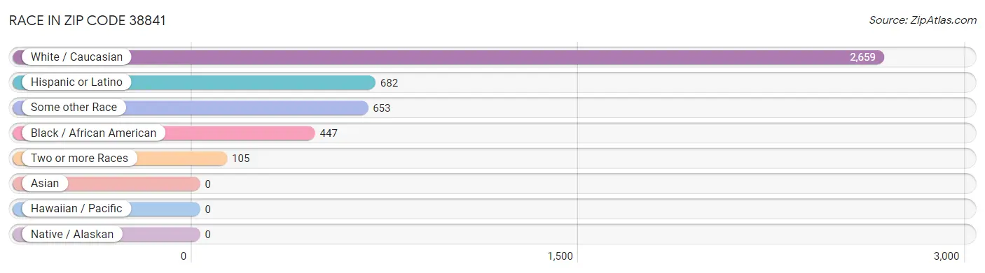 Race in Zip Code 38841